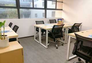 广东定制蜂巢纸降价