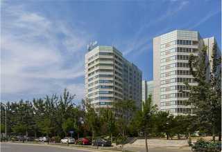 盘管锅炉厂家现货